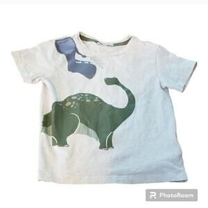 Beige 4TDinosaur Short Sleeve T-Shirt